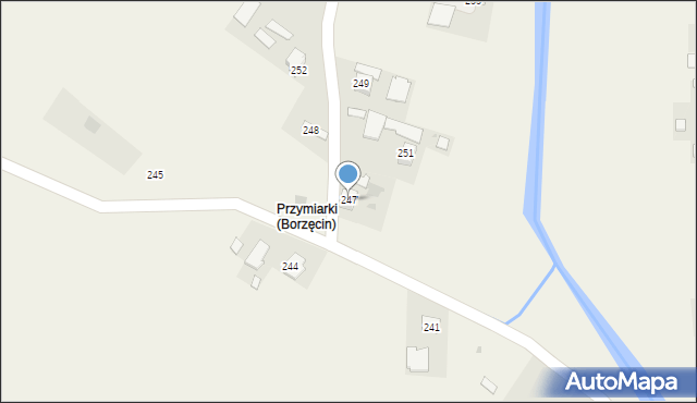 Borzęcin, Borzęcin, 247, mapa Borzęcin