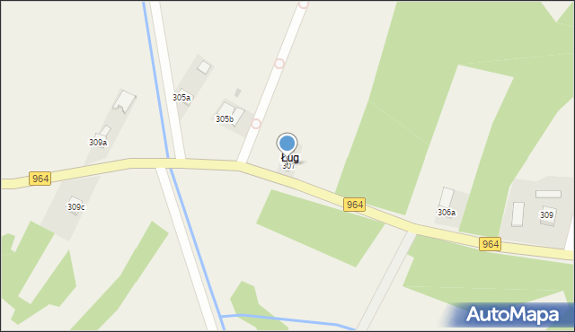 Borzęcin, Borzęcin, 307, mapa Borzęcin