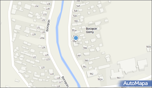 Borzęcin, Borzęcin, 555, mapa Borzęcin