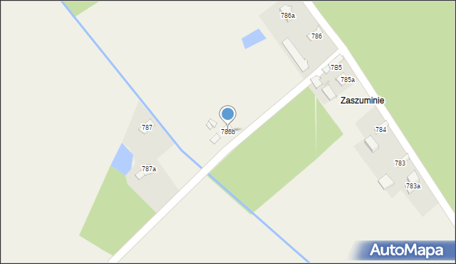 Borzęcin, Borzęcin, 786b, mapa Borzęcin