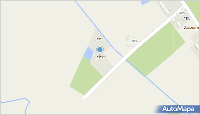 Borzęcin, Borzęcin, 787a, mapa Borzęcin