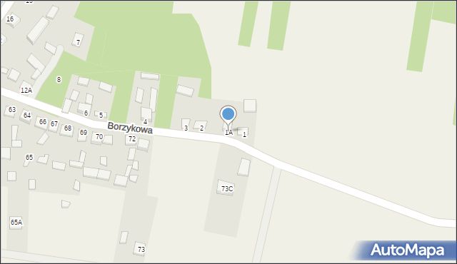 Borzykowa, Borzykowa, 1A, mapa Borzykowa