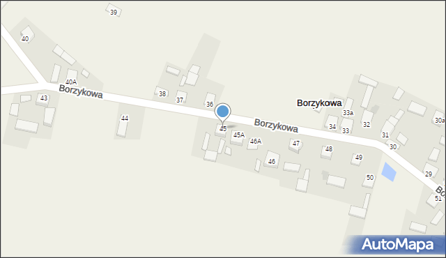 Borzykowa, Borzykowa, 45, mapa Borzykowa