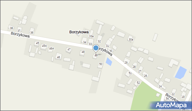 Borzykowa, Borzykowa, 49, mapa Borzykowa