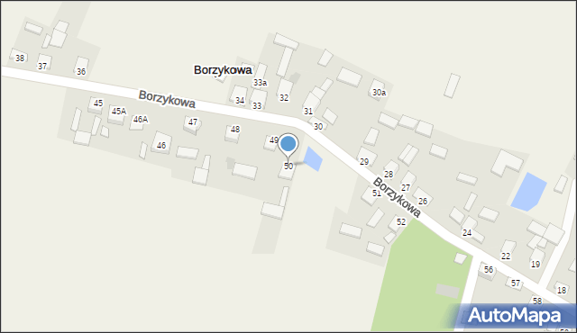 Borzykowa, Borzykowa, 50, mapa Borzykowa