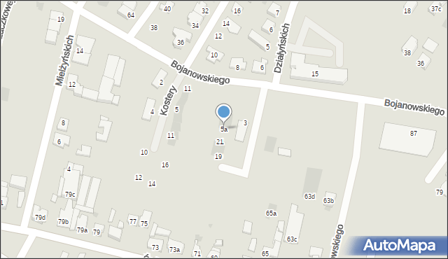 Leszno, Bojanowskiego Edmunda, 5a, mapa Leszno