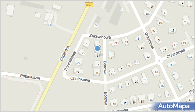 Leszno, Borowa, 4, mapa Leszno