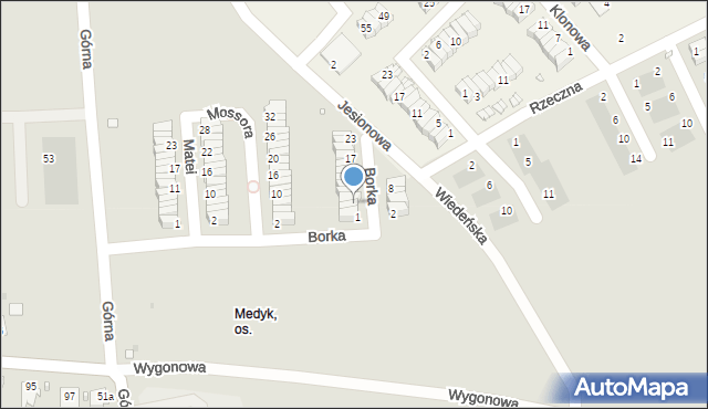 Opole, Borka Henryka, prof., 5, mapa Opola