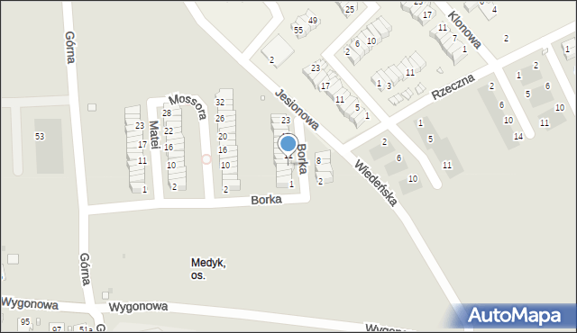 Opole, Borka Henryka, prof., 7, mapa Opola