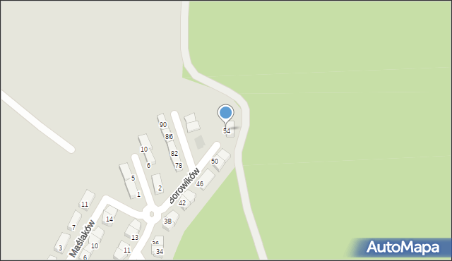 Ruda Śląska, Borowików, 54, mapa Rudy Śląskiej