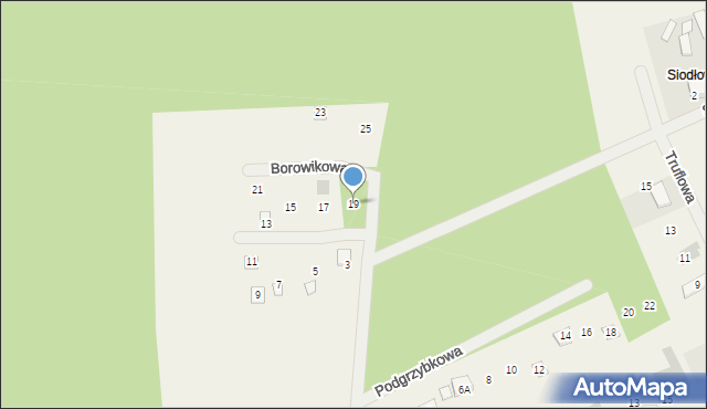 Stęszewko, Borowikowa, 19, mapa Stęszewko