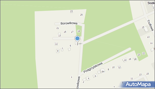 Stęszewko, Borowikowa, 3, mapa Stęszewko