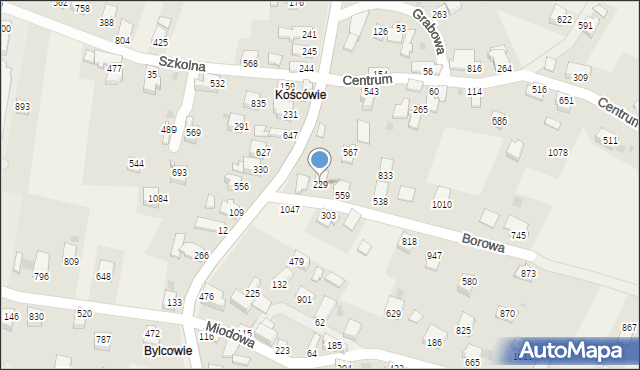 Wieprz, Borowa, 229, mapa Wieprz