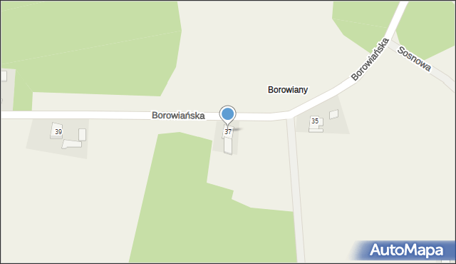 Zębowice, Borowiańska, 37, mapa Zębowice