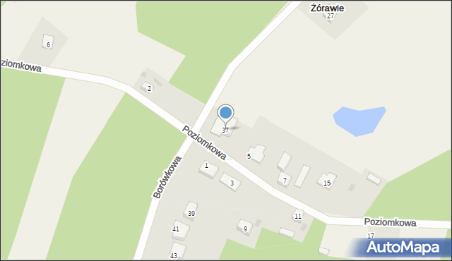 Żórawie, Borówkowa, 37, mapa Żórawie