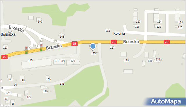 Bochnia, Brzeska, 125, mapa Bochni