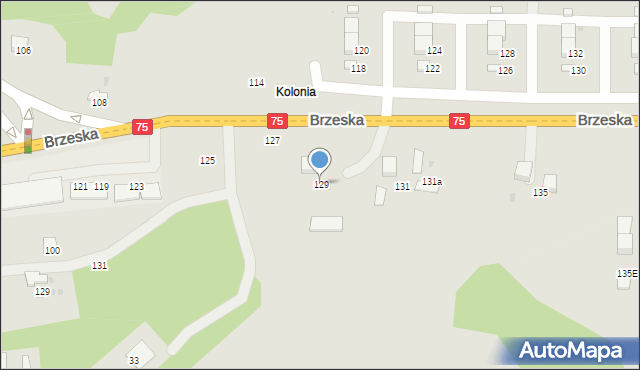 Bochnia, Brzeska, 129, mapa Bochni