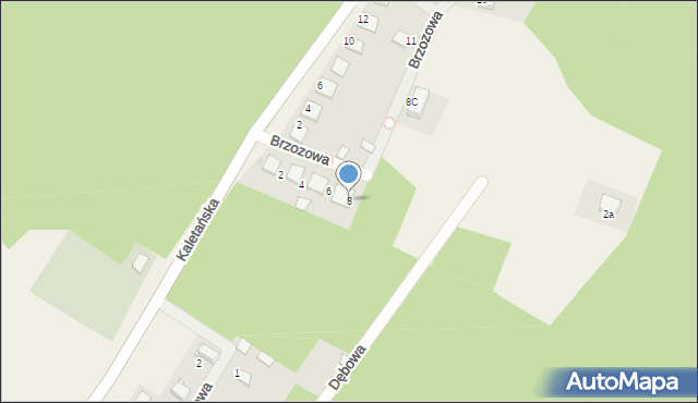 Boruszowice, Brzozowa, 8, mapa Boruszowice