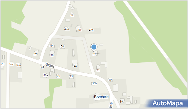 Brzeście, Brzeście, 42, mapa Brzeście