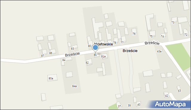 Brzeście, Brzeście, 81, mapa Brzeście