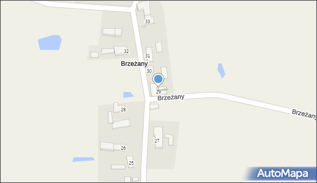 Brzeżany, Brzeżany, 29, mapa Brzeżany