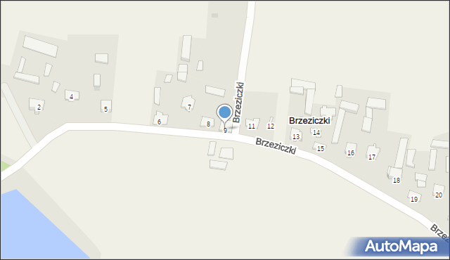 Brzeziczki, Brzeziczki, 9, mapa Brzeziczki