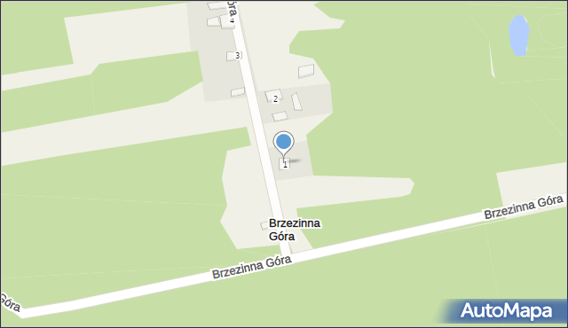 Brzezinna Góra, Brzezinna Góra, 1, mapa Brzezinna Góra