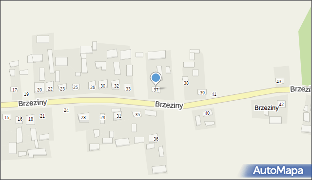 Brzeziny, Brzeziny, 37, mapa Brzeziny