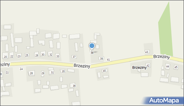 Brzeziny, Brzeziny, 38, mapa Brzeziny