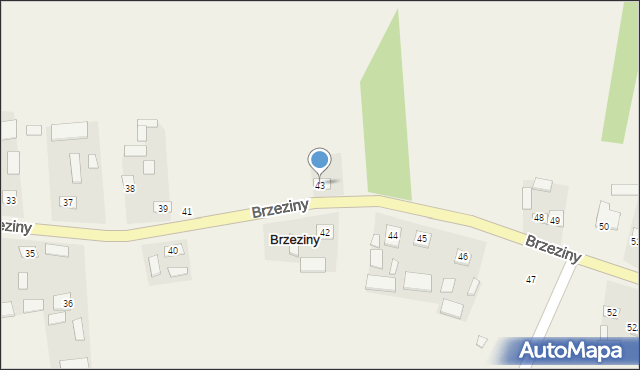 Brzeziny, Brzeziny, 43, mapa Brzeziny