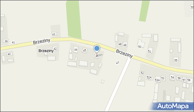 Brzeziny, Brzeziny, 46, mapa Brzeziny