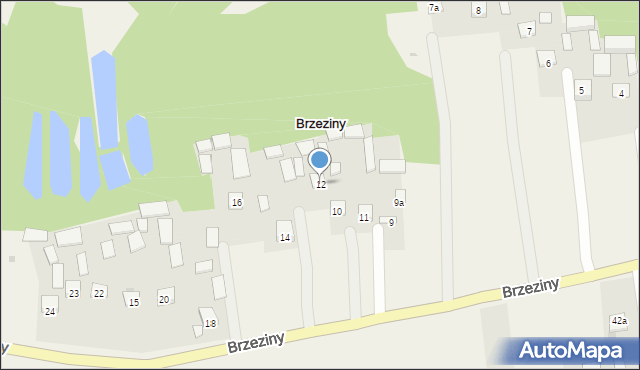 Brzeziny, Brzeziny, 12, mapa Brzeziny