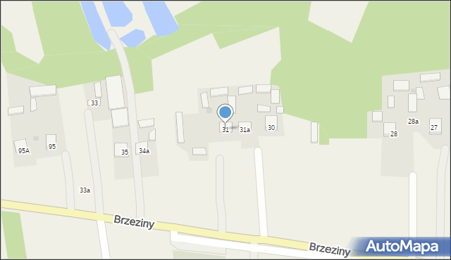 Brzeziny, Brzeziny, 31, mapa Brzeziny