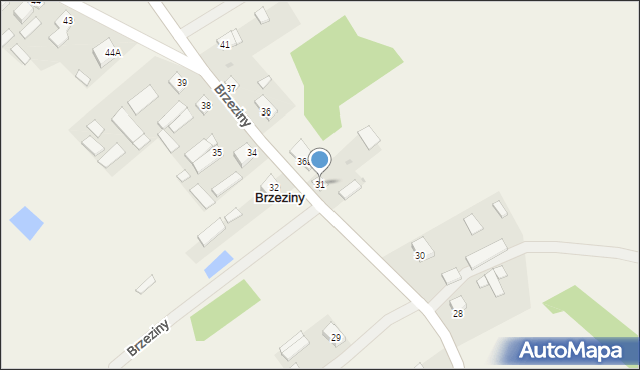 Brzeziny, Brzeziny, 31, mapa Brzeziny