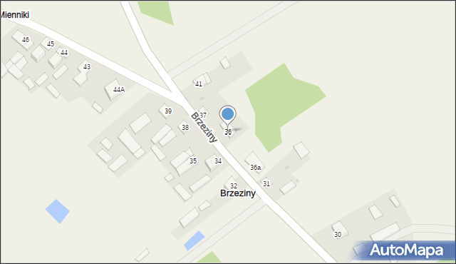 Brzeziny, Brzeziny, 36, mapa Brzeziny