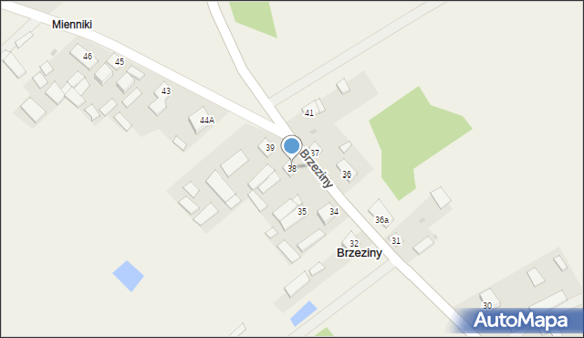 Brzeziny, Brzeziny, 38, mapa Brzeziny