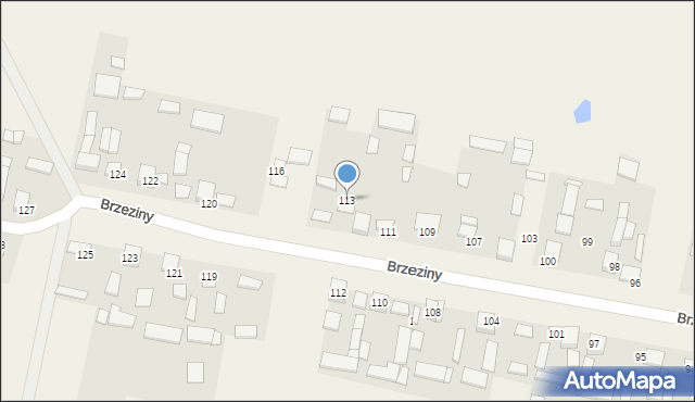 Brzeziny, Brzeziny, 113, mapa Brzeziny