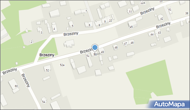 Brzeziny, Brzeziny, 50, mapa Brzeziny