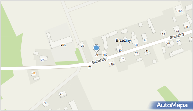 Brzeziny, Brzeziny, 29, mapa Brzeziny