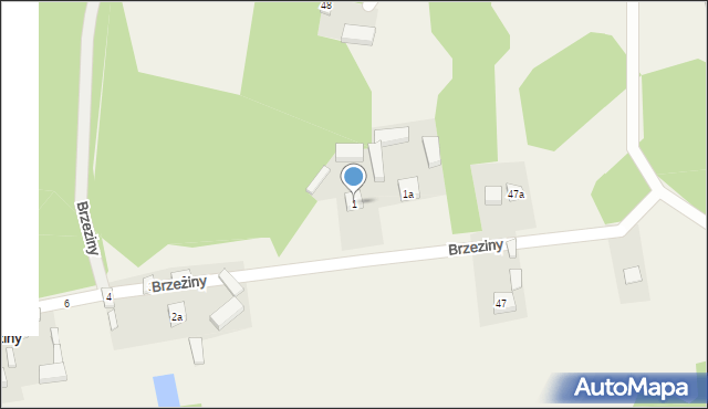 Brzeziny, Brzeziny, 1, mapa Brzeziny