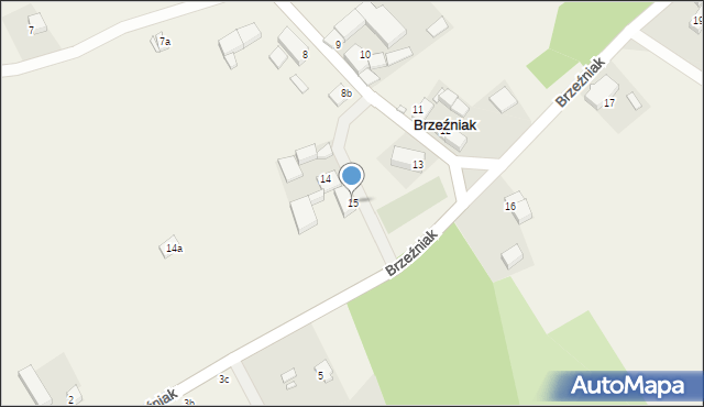 Brzeźniak, Brzeźniak, 15, mapa Brzeźniak