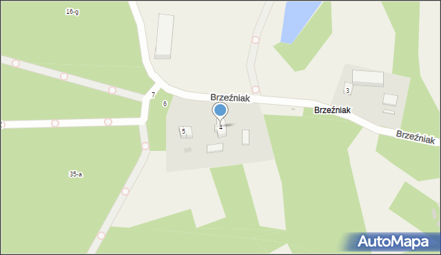 Brzeźniak, Brzeźniak, 4, mapa Brzeźniak