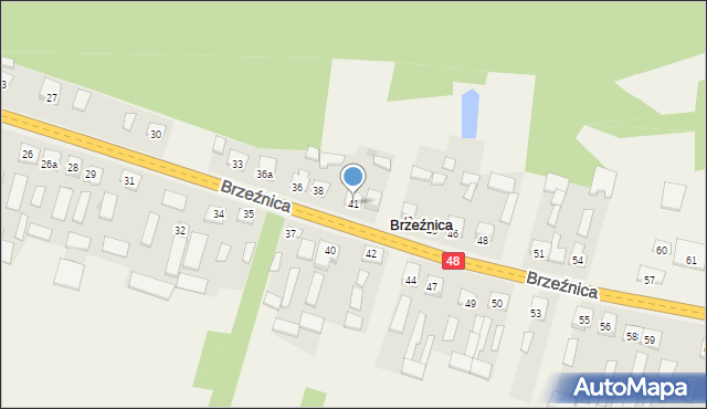 Brzeźnica, Brzeźnica, 41, mapa Brzeźnica