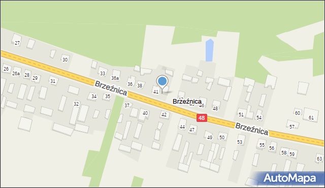 Brzeźnica, Brzeźnica, 41a, mapa Brzeźnica