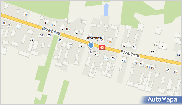 Brzeźnica, Brzeźnica, 44, mapa Brzeźnica