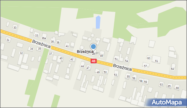 Brzeźnica, Brzeźnica, 46, mapa Brzeźnica