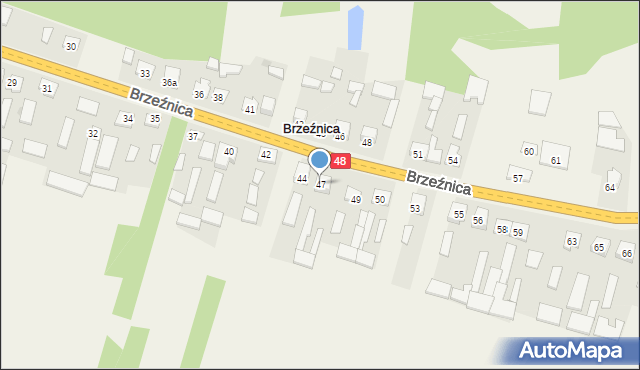 Brzeźnica, Brzeźnica, 47, mapa Brzeźnica