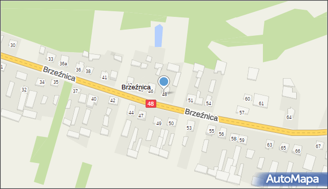 Brzeźnica, Brzeźnica, 48, mapa Brzeźnica