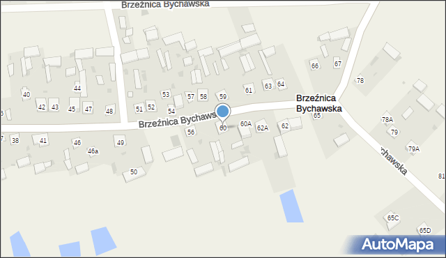 Brzeźnica Bychawska, Brzeźnica Bychawska, 60, mapa Brzeźnica Bychawska