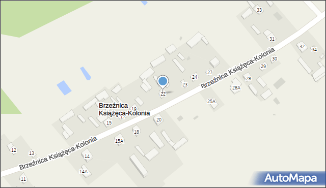 Brzeźnica Książęca-Kolonia, Brzeźnica Książęca-Kolonia, 22, mapa Brzeźnica Książęca-Kolonia